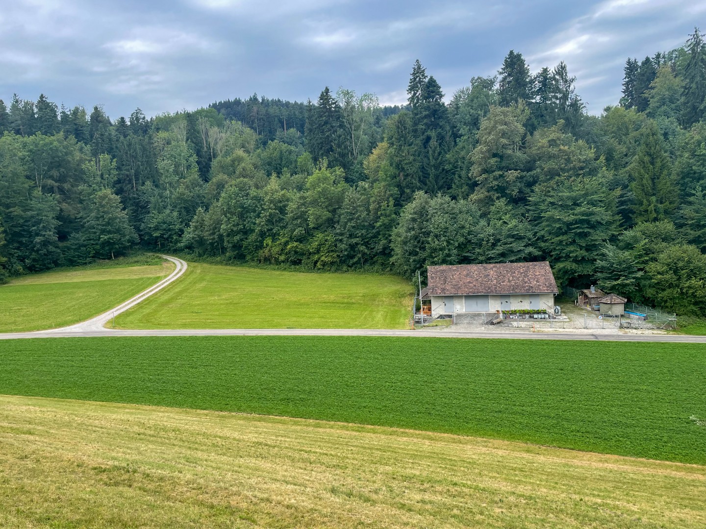 Schauplatz der Geschichte: Bei Seewadel wurde ein Landesverräter hingerichtet. Bild: Rémy Kappeler