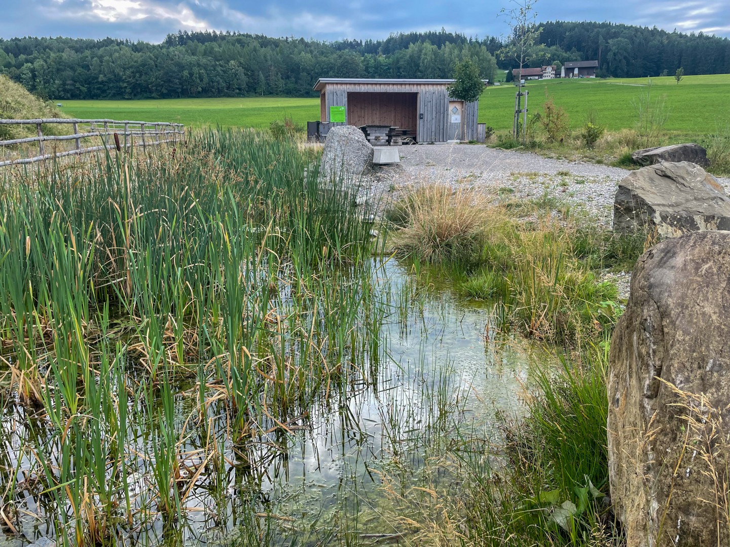 Das Gebiet Grund am Anfang der Wanderung ist ein wichtiges Amphibienlaichgebiet. Bild: Rémy Kappeler