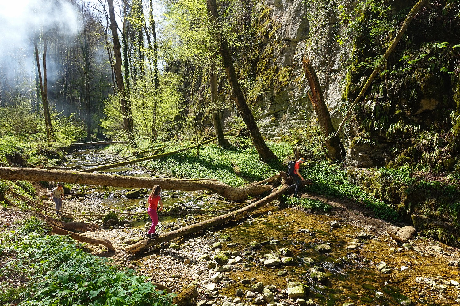 Zur Kohlerhöhle muss man auf einem Baumstamm den Bach überqueren und etwas hochkraxeln. Bilder: Marie-Louise Zimmermann