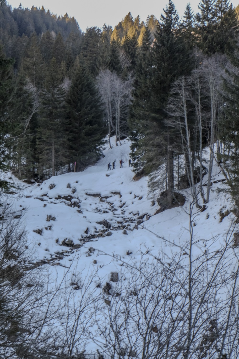 In einer engen Kehre überquert man den Ri di Piera.
Bild: Elsbeth Flüeler