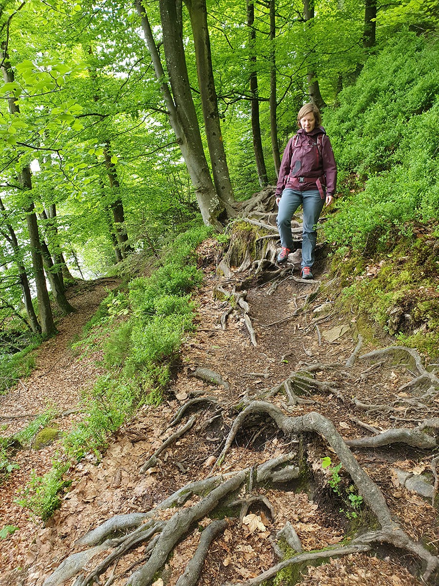 Le «chemin des racines» sur la presqu’île de Chiemen. Photo: Marina Bolzli