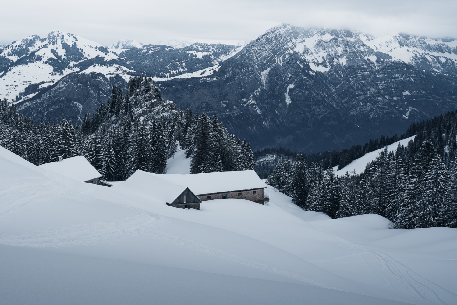 Ein Blick zurück auf den Sunnespitz und Churfirsten, die sich verstecken. Bild: Jon Guler