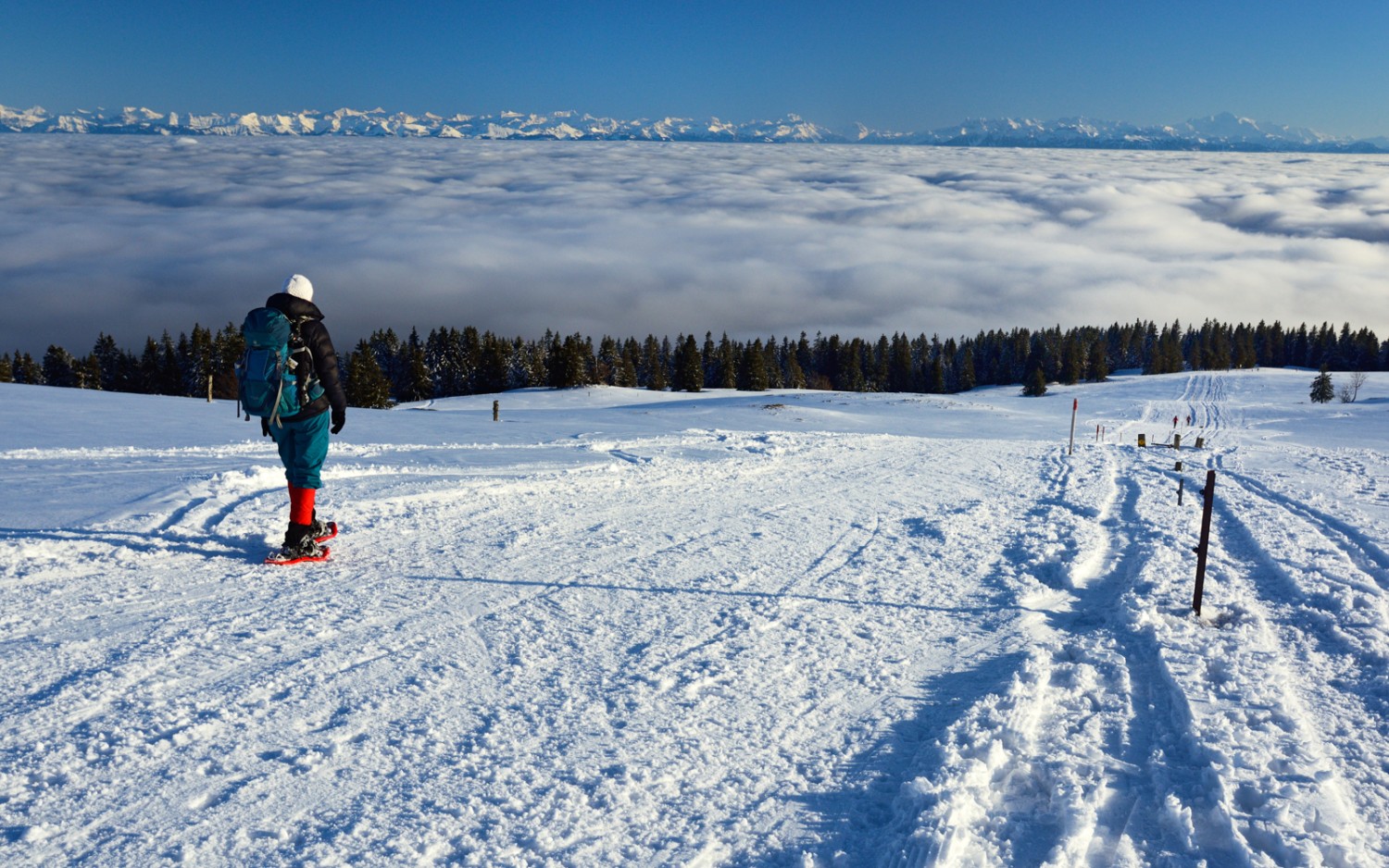 Une magnifique vue. Photo: Natur-Welten