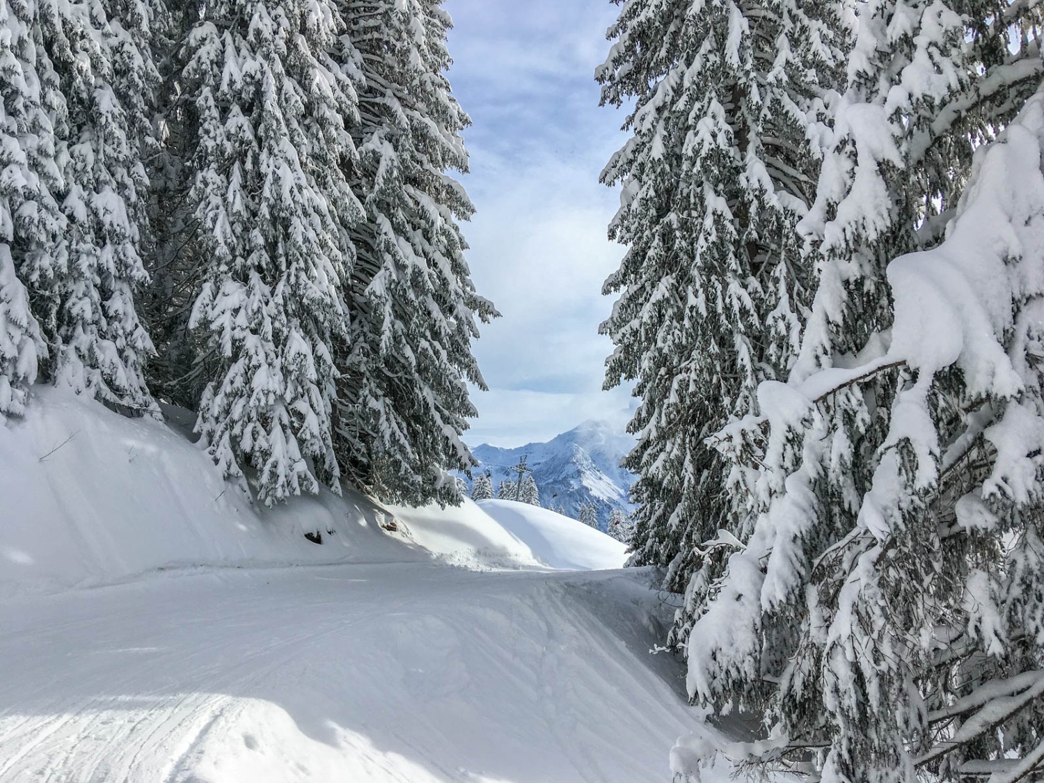 Sapins enneigés et panoramas à couper le souffle caractérisent cette randonnée. Photo: Claudia Peter