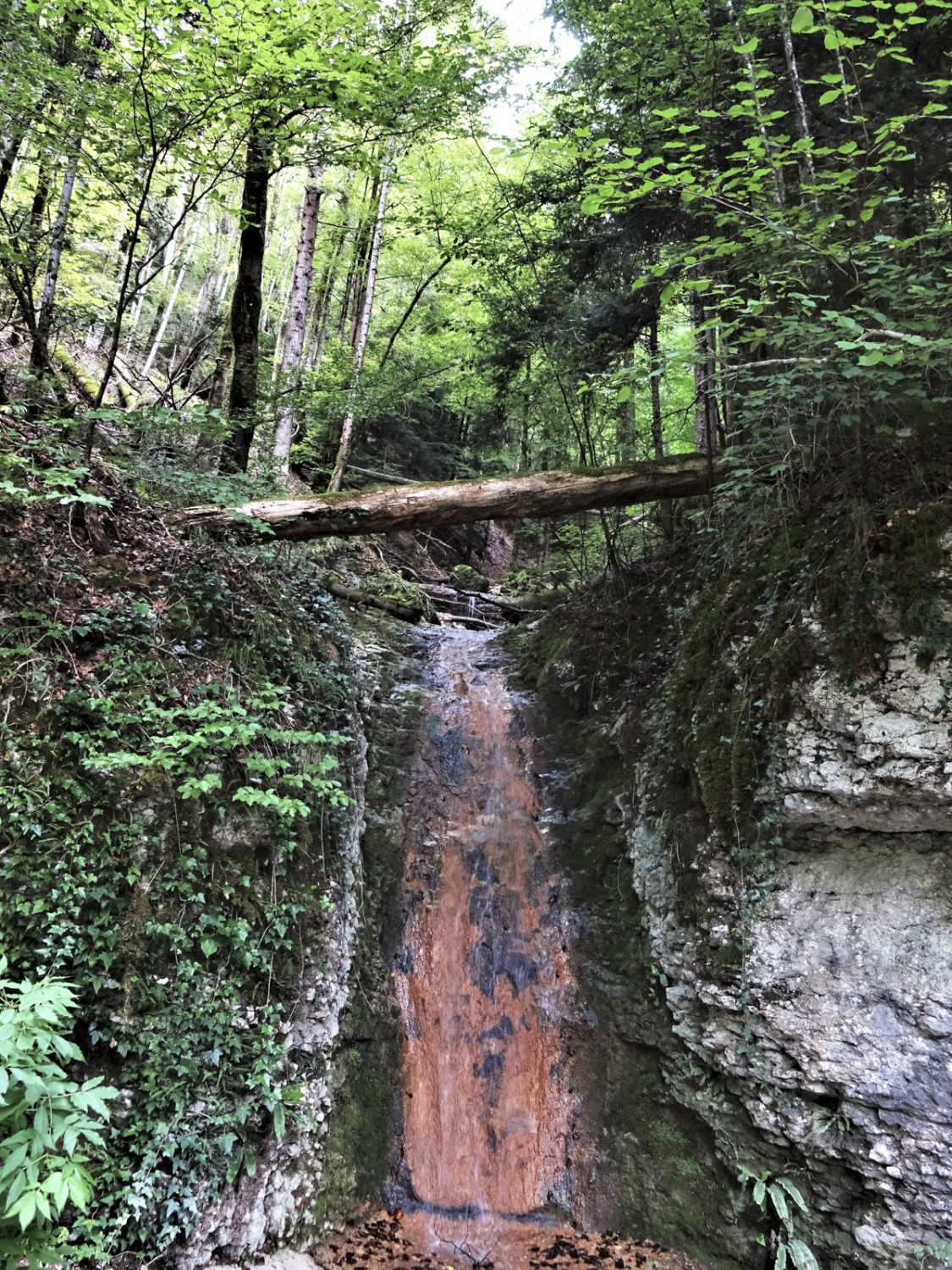 Hinter Tariche führt der Weg nach St-Ursanne an einem Wasserfall vorbei. Bild: Miroslaw Halaba