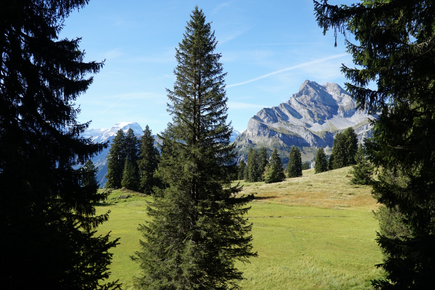 Sumpfgebiet vor Tödi und Ortstock : Zahlreiche Rinnsale fliessen durch die Steilhänge ins Tal – auch unter dem Boden.