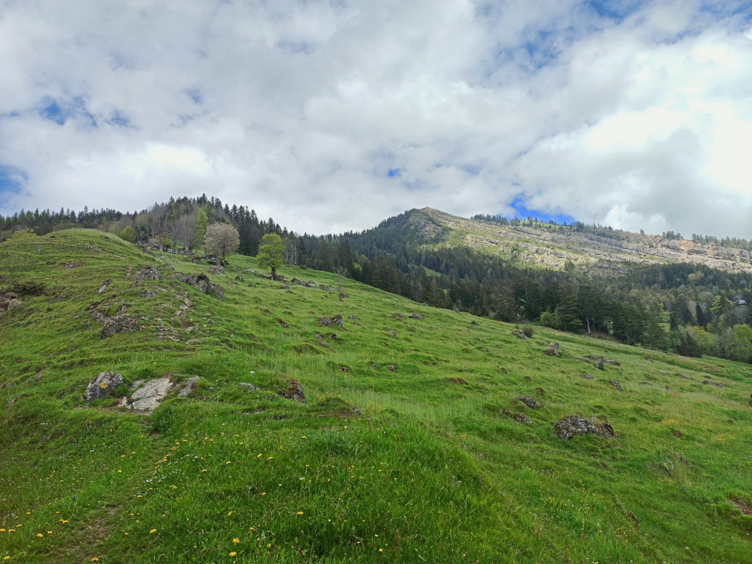 Au point culminant de la randonnée, vue sur le Gneipen et la ligne de rupture de l’éboulement. Photo: Michael Dubach