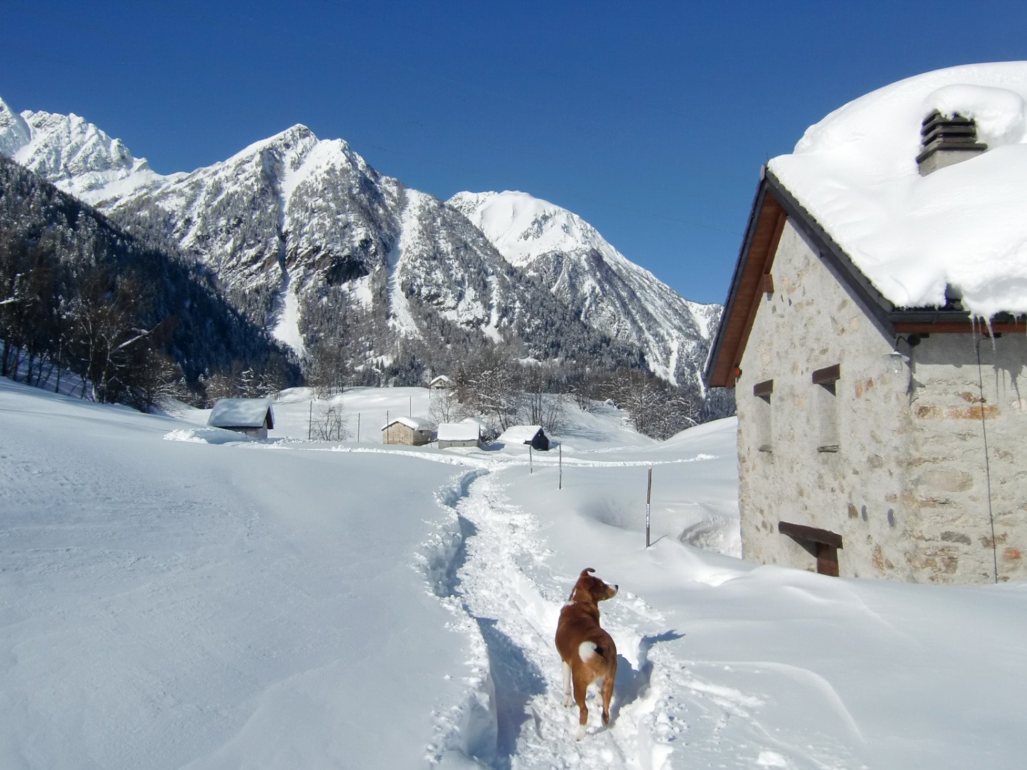 Sur le haut-plateau de Dalpe. Photo: Racchette Dalpe