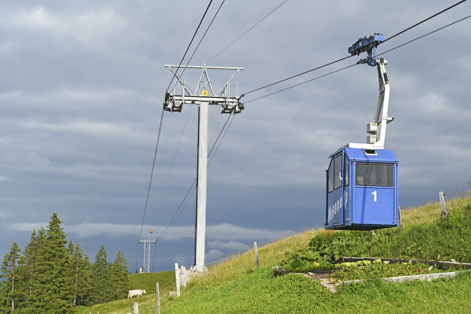 Die Musenalpbahn und der Alpengemüsegarten – ausschiessen darf hier der Salat nicht. Bild: natur-welten.ch