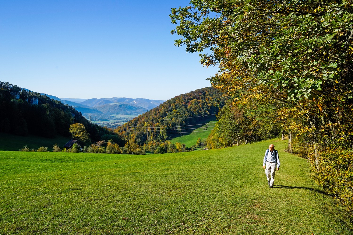 Nahezu weglos steigt man zum Grat über dem Stierenberg hinauf.
Bilder: Fredy Joss