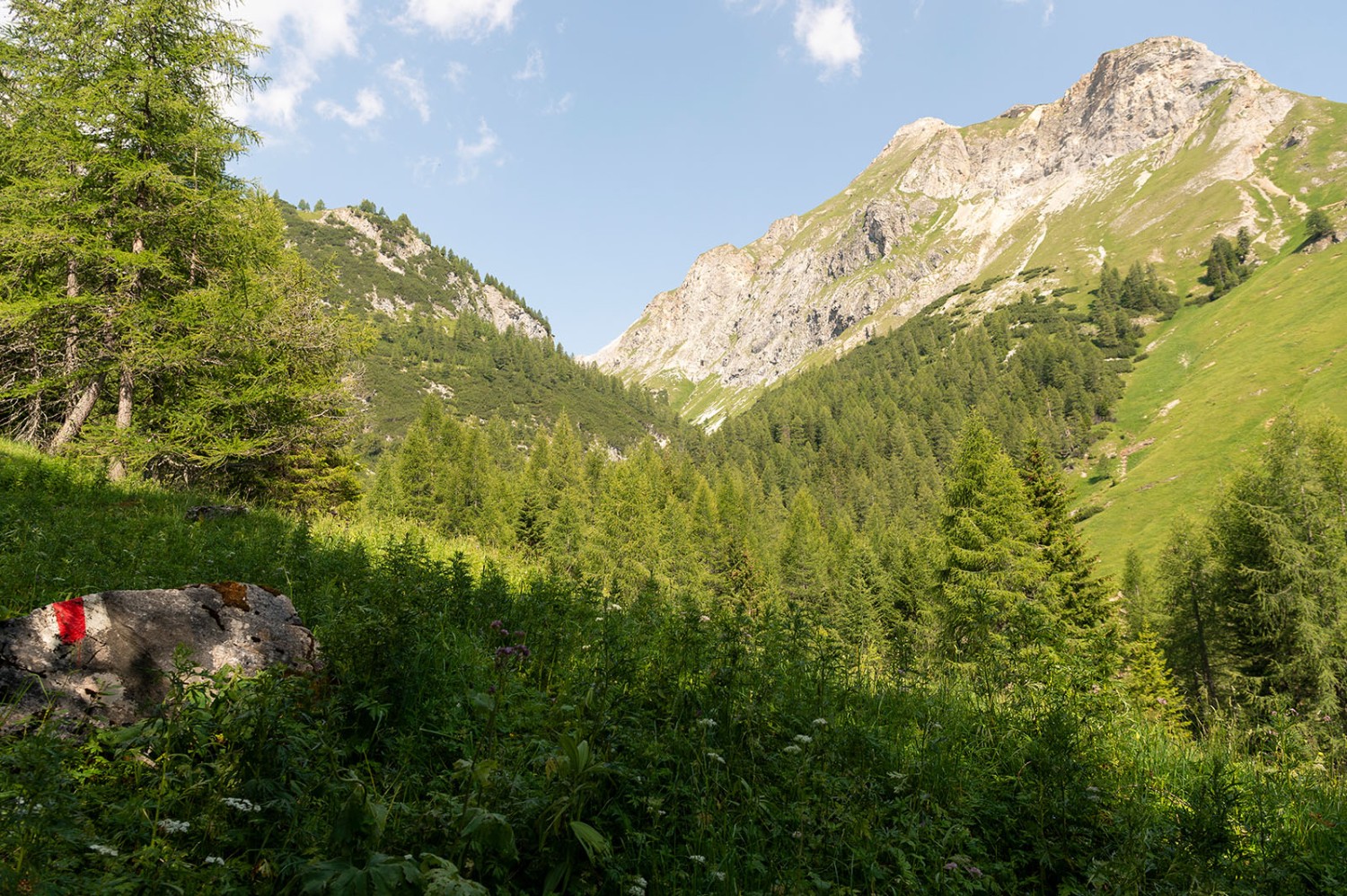 Auf der Steileralp ist die Alperschällilücka bereits erkennbar. Bild: Raja Läubli