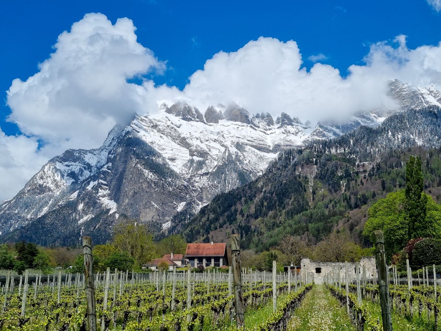 L’escursione attraverso la regione vitivinicola tocca di tanto in tanto località minori.