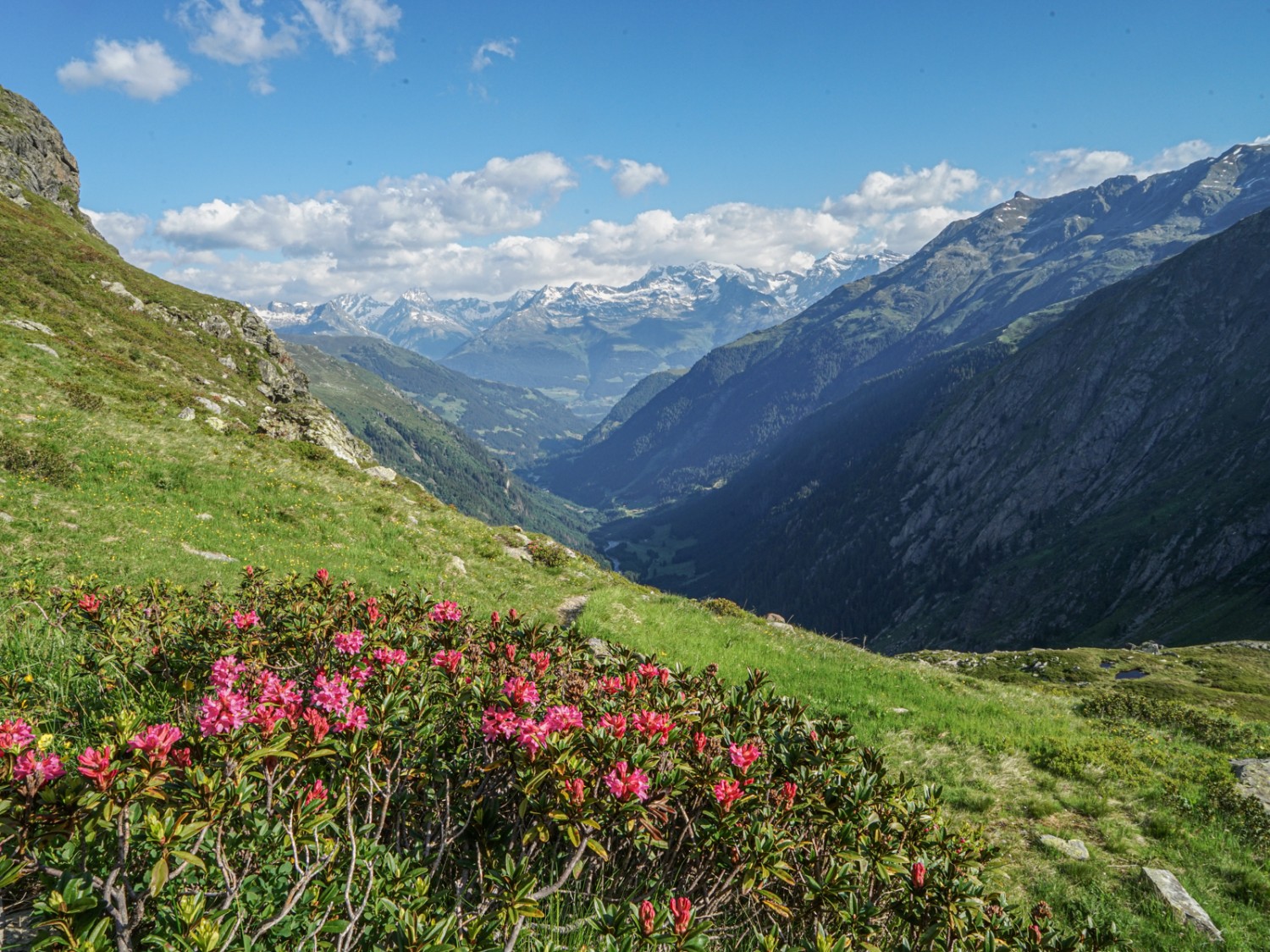 Weiter unten wird das Val Sumvitg immer grüner und lieblicher. Bild: Reto Wissmann