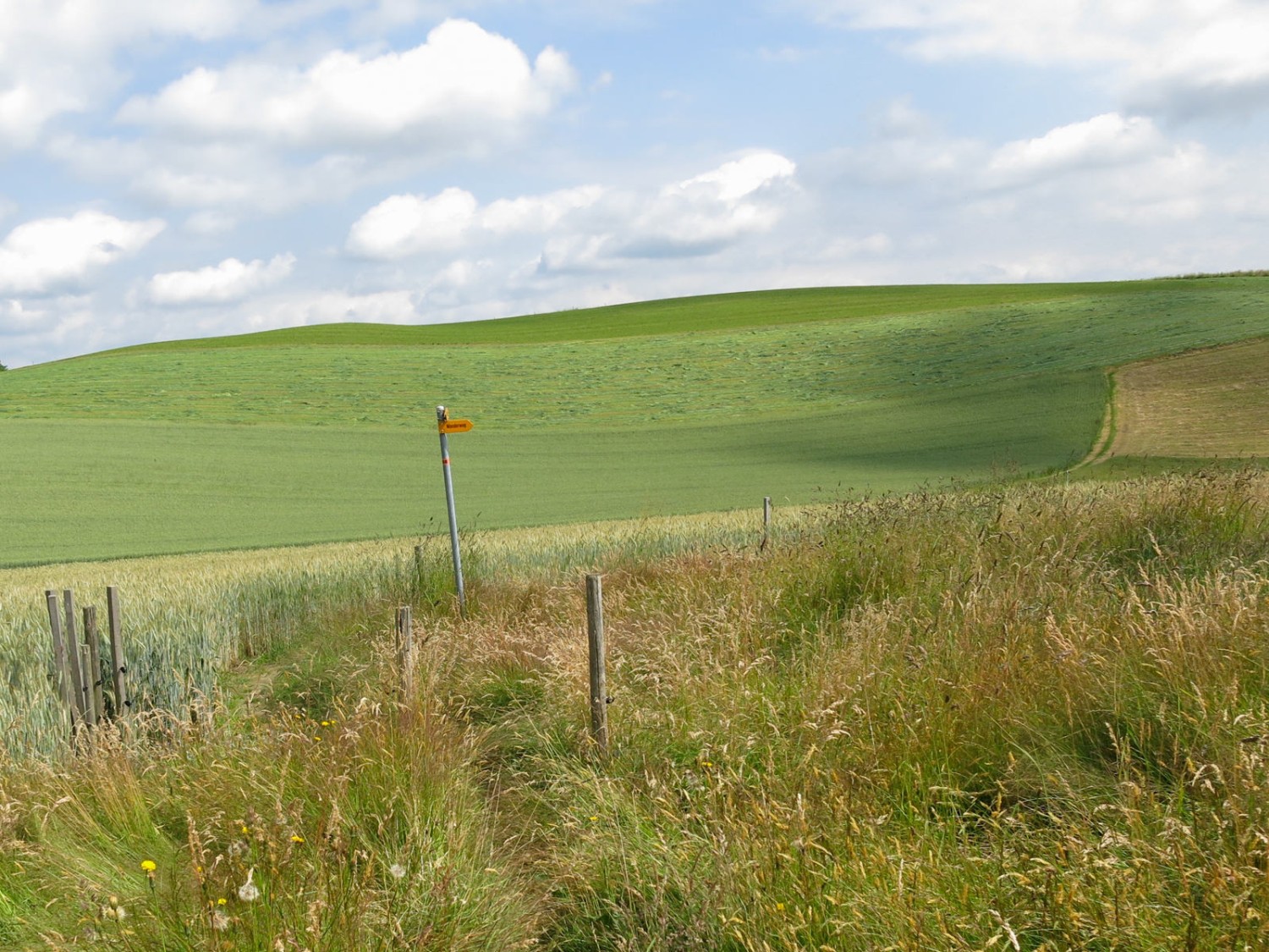 In leichtem Auf- und Ab an zahlreichen Einzelhöfen und Weilern vorbei. Foto: Marina Bolzli