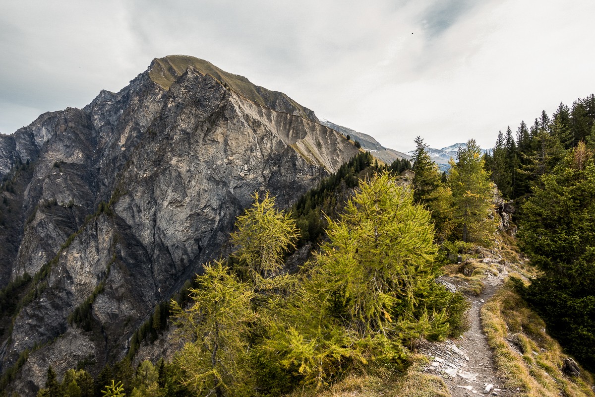 Vue du Fürhörnli au Montalin. Photo: Fredy Joss