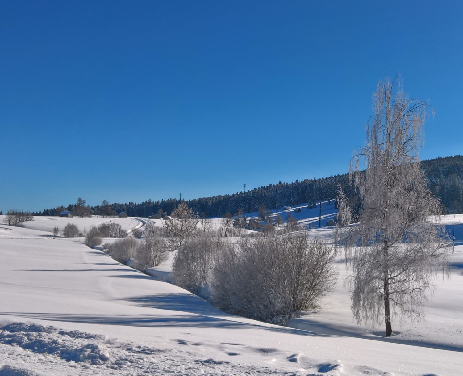 Fraîchement enneigé, le paysage et particulièrement enchanteur. Photo: Andreas Staeger