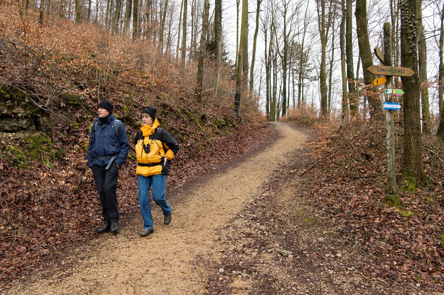 Wald schützt gegen Regen, der Kiesweg bietet den Füssen Halt.