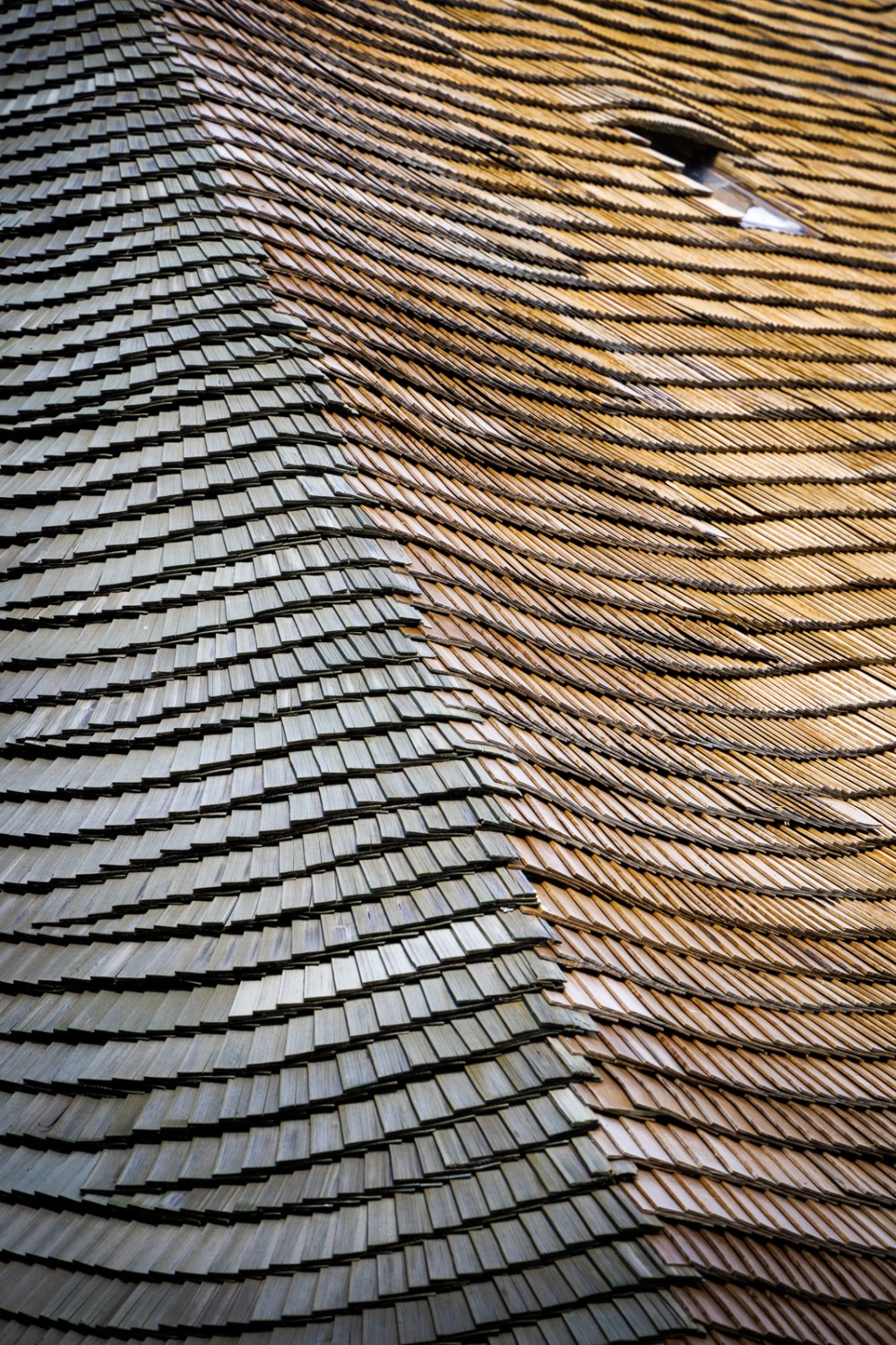 Les toits en tavillons, une tradition encore bien vivante en Gruyère. Photo: Severin Nowacki