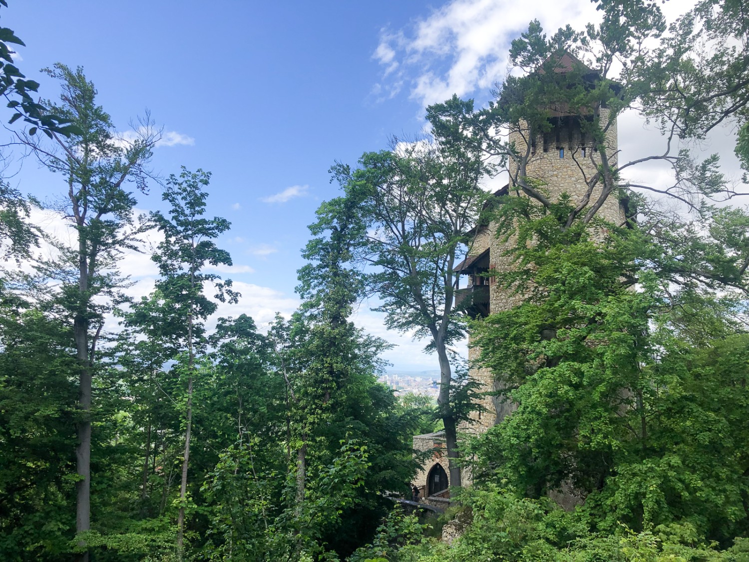 Il castello altomedievale di Reichenstein è stato costruito attorno al 1200. Foto: Thomas Gloor