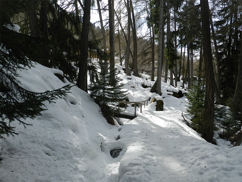 Malerisch zieht sich die Suone durch den Wald. Der Wanderer braucht ihr nur zu folgen. Bilder: Patricia Michaud