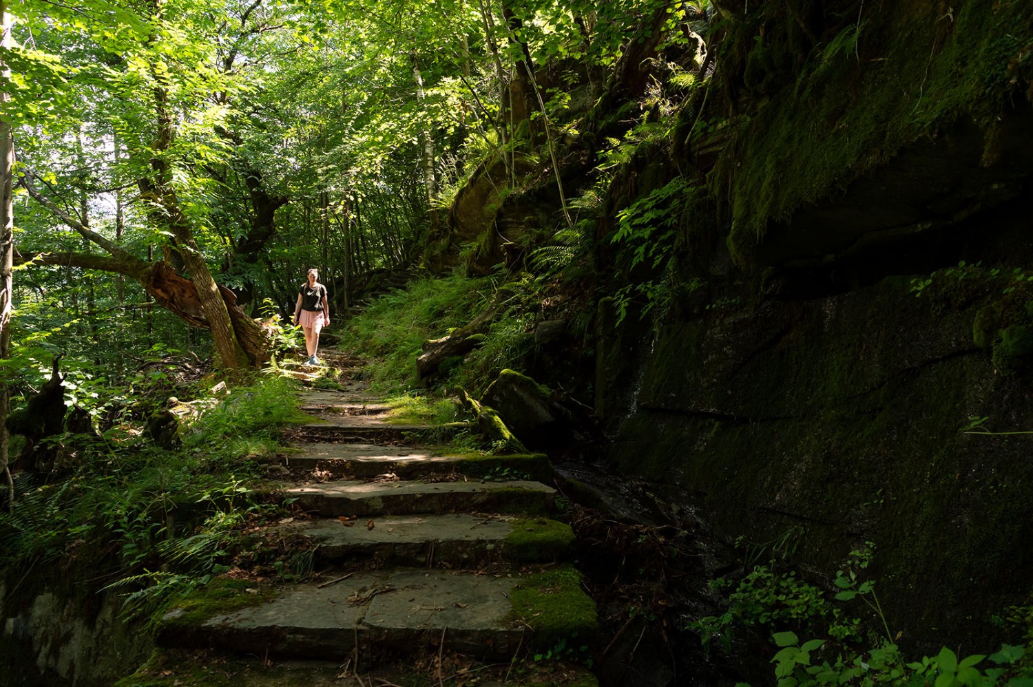 Treppen mitten im Wald nahe Faido. Bild: Raja Läubli