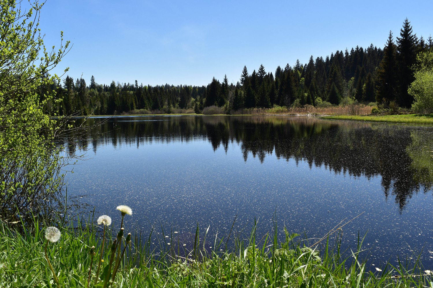 Ruhiger Schlusspunkt der Wanderung: der Etang des Royes