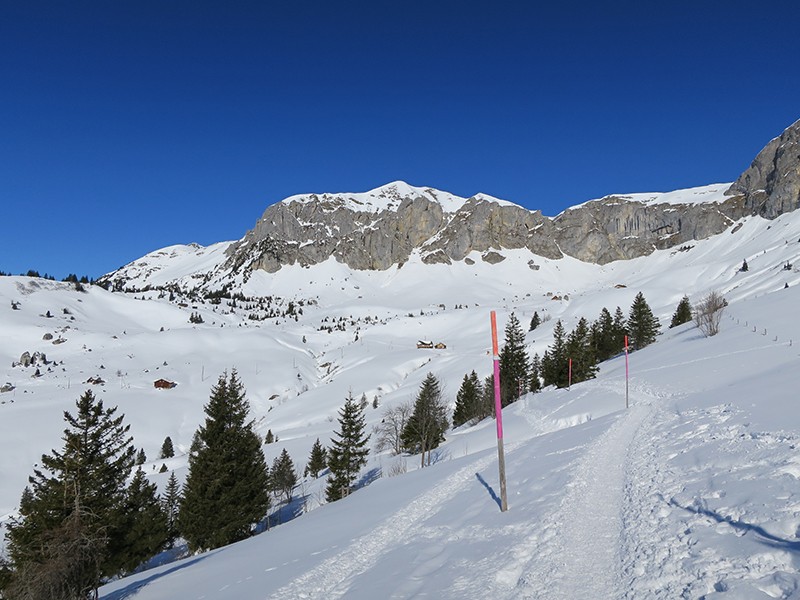 Vue sur la cuvette de Selez. Photo: Andreas Staeger