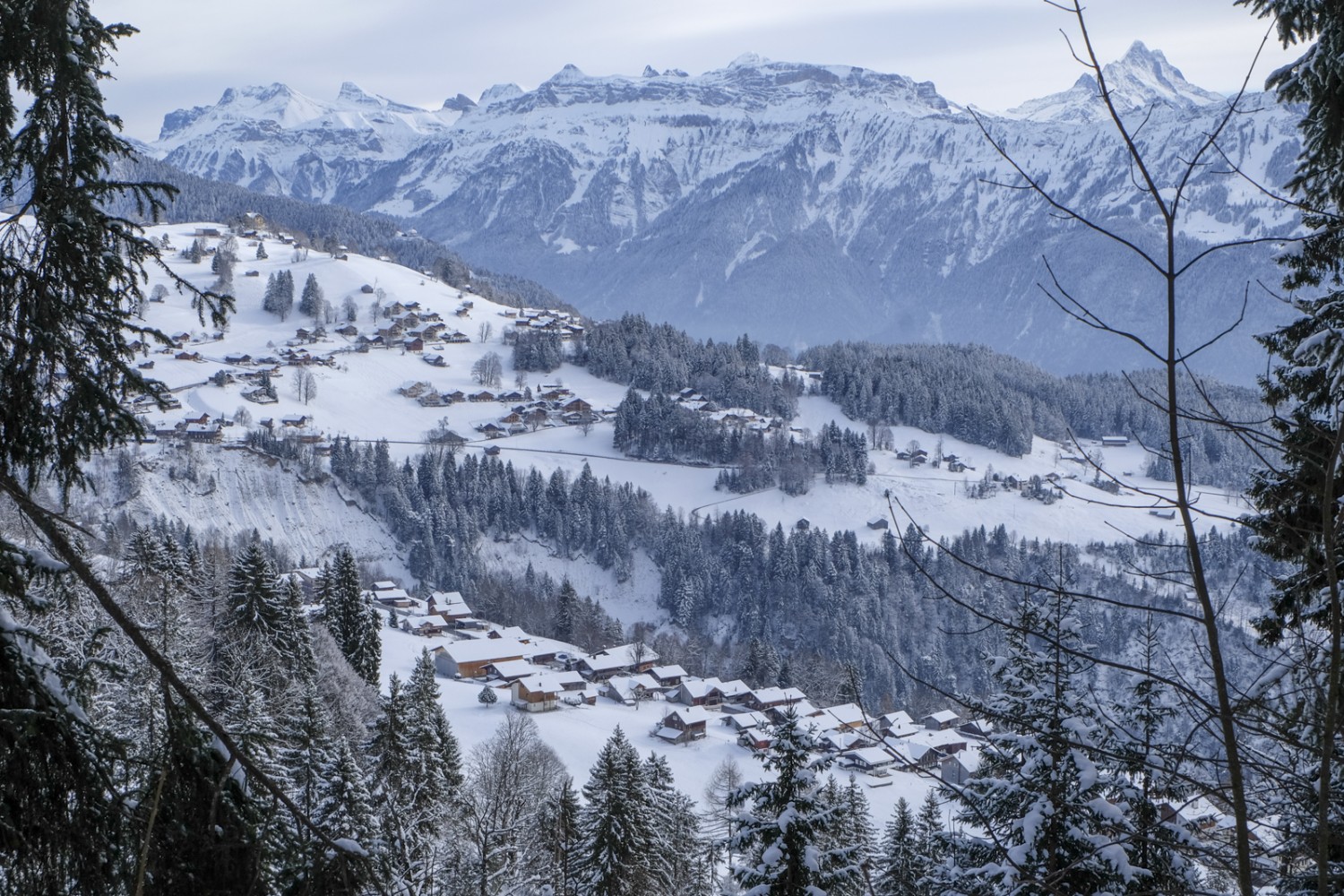 Vue sur deux des hameaux de Beatenberg: Spirenwald et, au-dessus, Waldegg. Photo: Elsbeth Flüeler