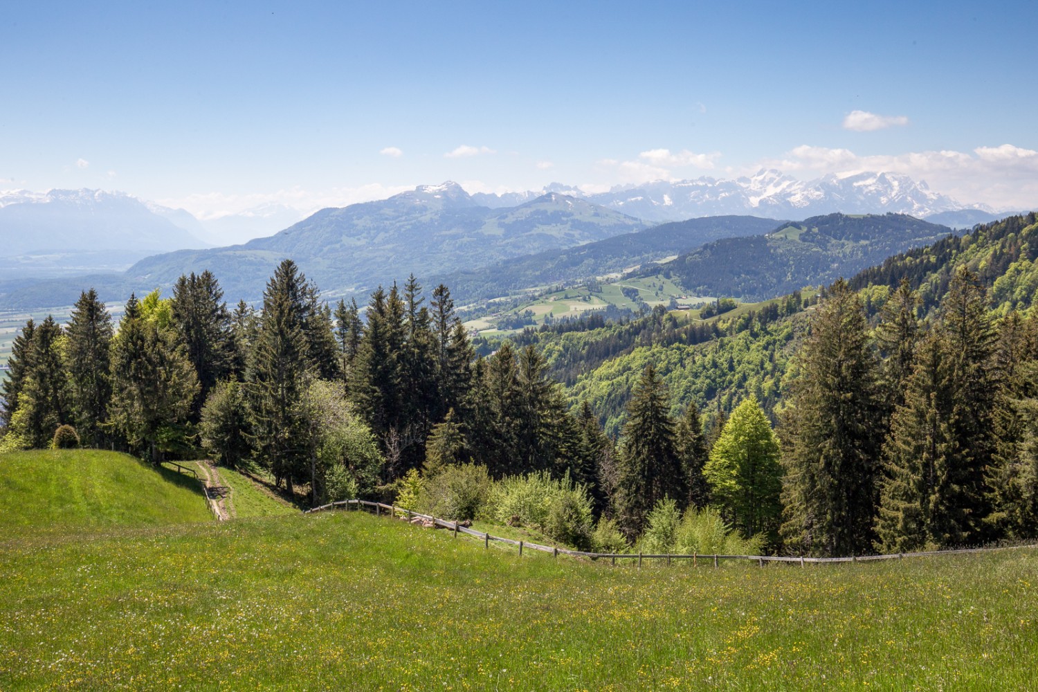 La randonnée offre des vues variées. Depuis St. Anton, le panorama s’étend de la vallée du Rhin à l’Alpstein. Photo: Daniel Fleuti 
