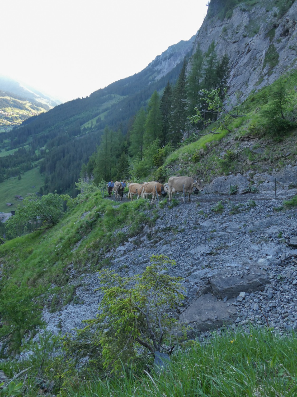 Plus loin, dans le Frutigtal, le soleil brille déjà.