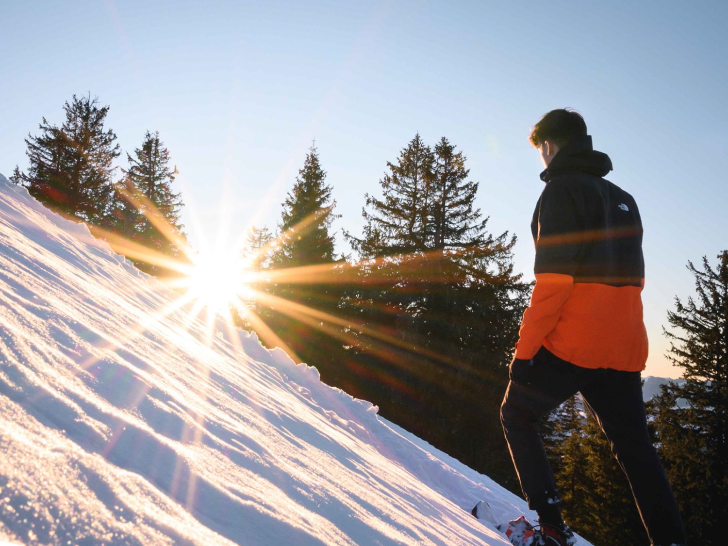 Un autre bois charmant, peu avant la montée escarpée vers Hochalp. Photo: Jon Guler