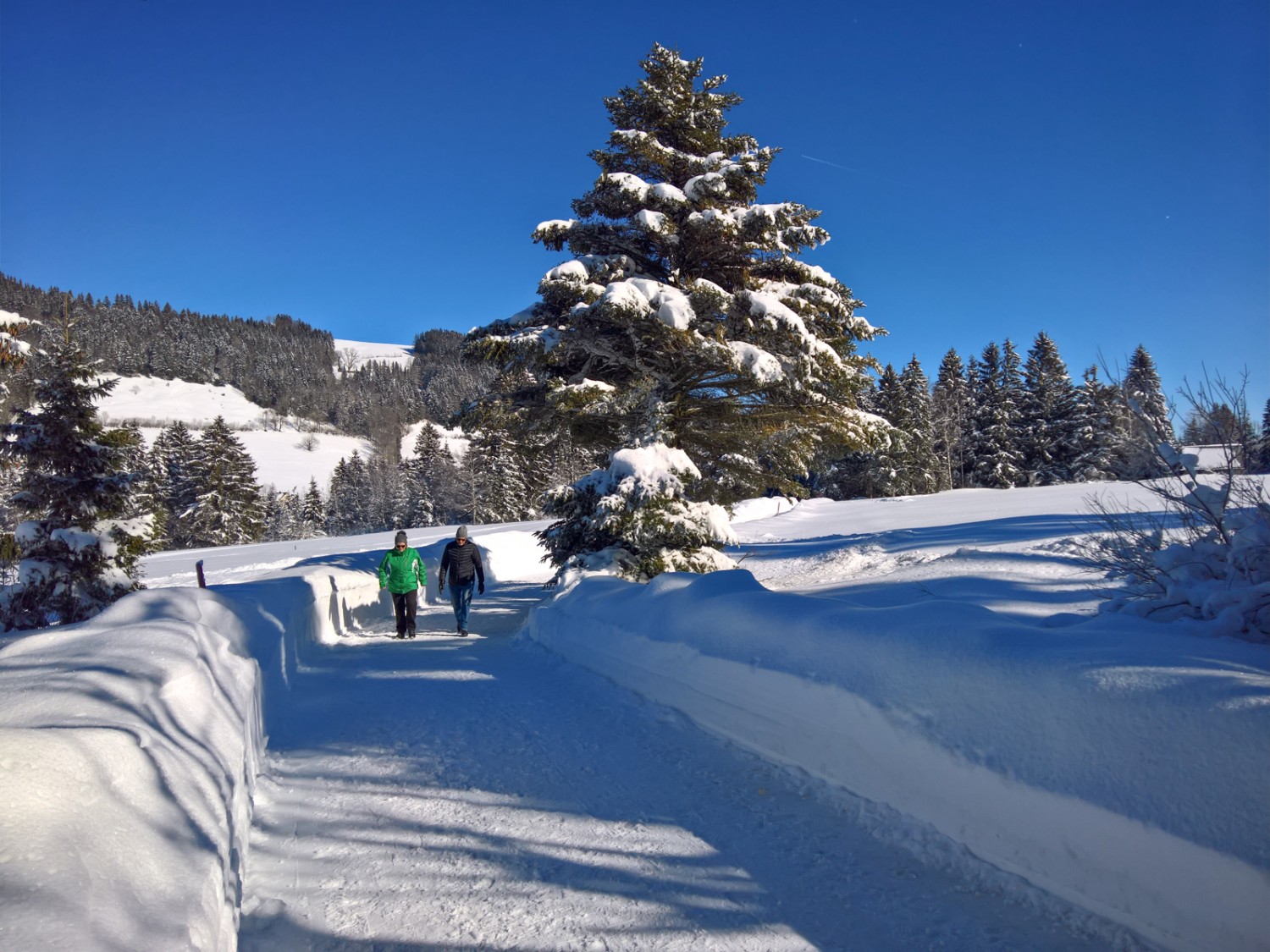 Le haut-plateau enneigé entre Oberzwislen et Rietli. Photo: Andreas Staeger