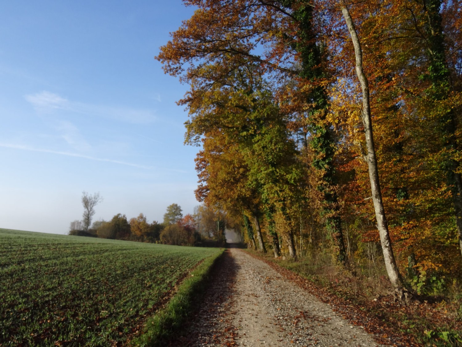 Farbige Zeit in der Nähe des Rötiweihers. Bilder: Vera In-Albon