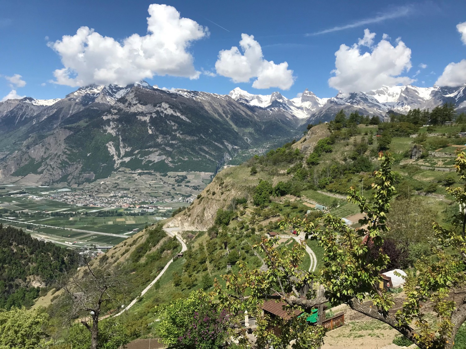 Veduta sulla valle del Rodano e sul villaggio di Saillon. Foto: Ulrike Marx