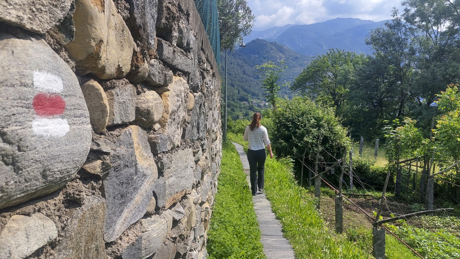 Dalla stazione ferroviaria di Intragna il sentiero conduce verso il fiume attraverso dei vigneti.