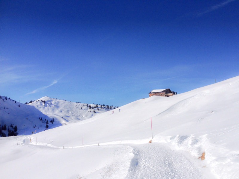 On trouve aussi des itinéraires de randonnée à raquettes dans la région. Photo: Claudia Peter