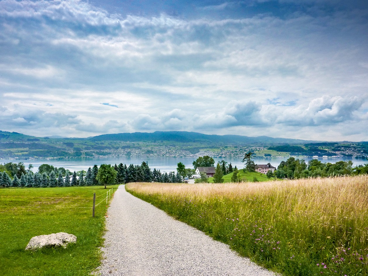 Zwischen zwei Beizen oberhalb von Stäfa; die Wanderung verläuft oft auf Feldwegen. Bilder: Evelyne Zaugg