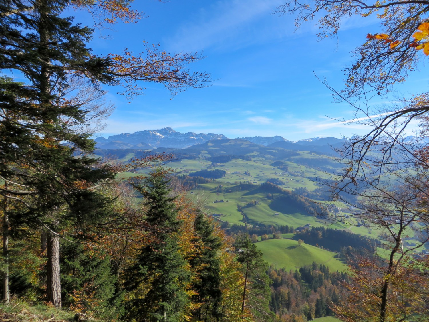 Blick vom Gerensattel zum Säntismassiv