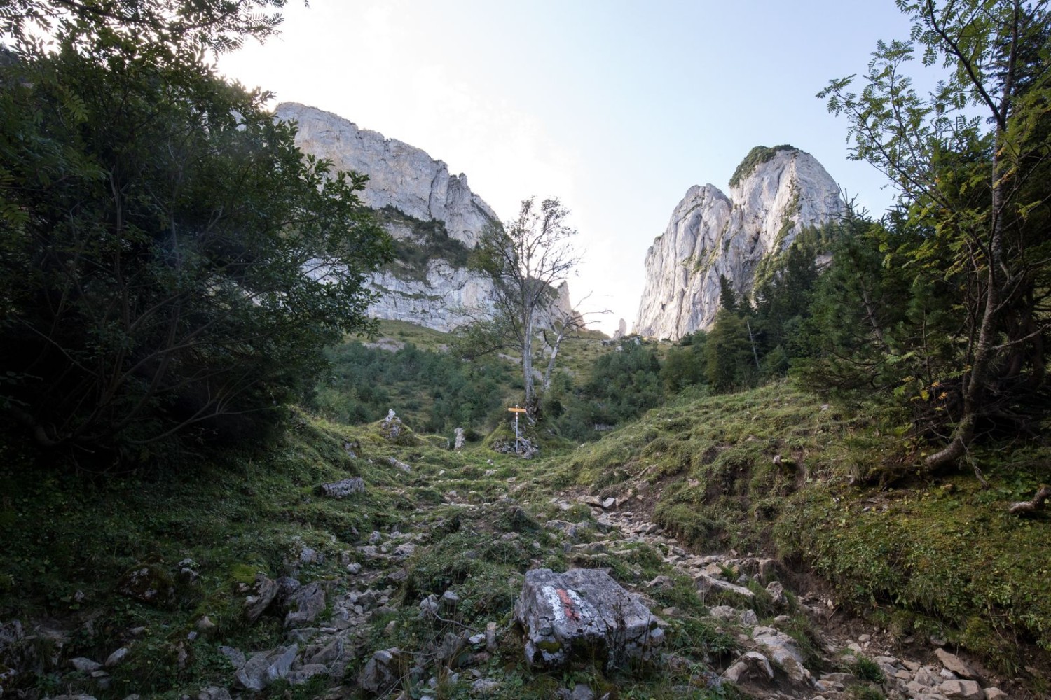 Dort oben wartet sie, die Bogartenlücke. Steil, wild und einsam ist der Aufstieg.