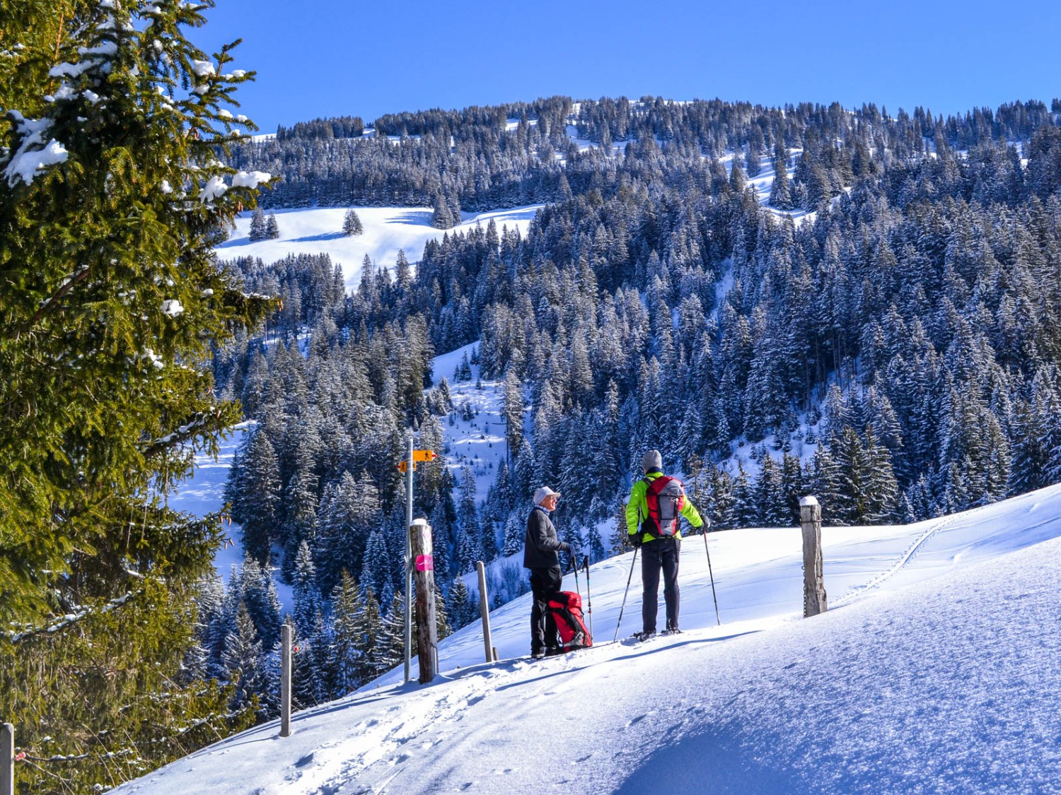 Encore quelques mètres jusqu’aux chalets d’alpage de Gruebi.
Photo: Sabine Joss