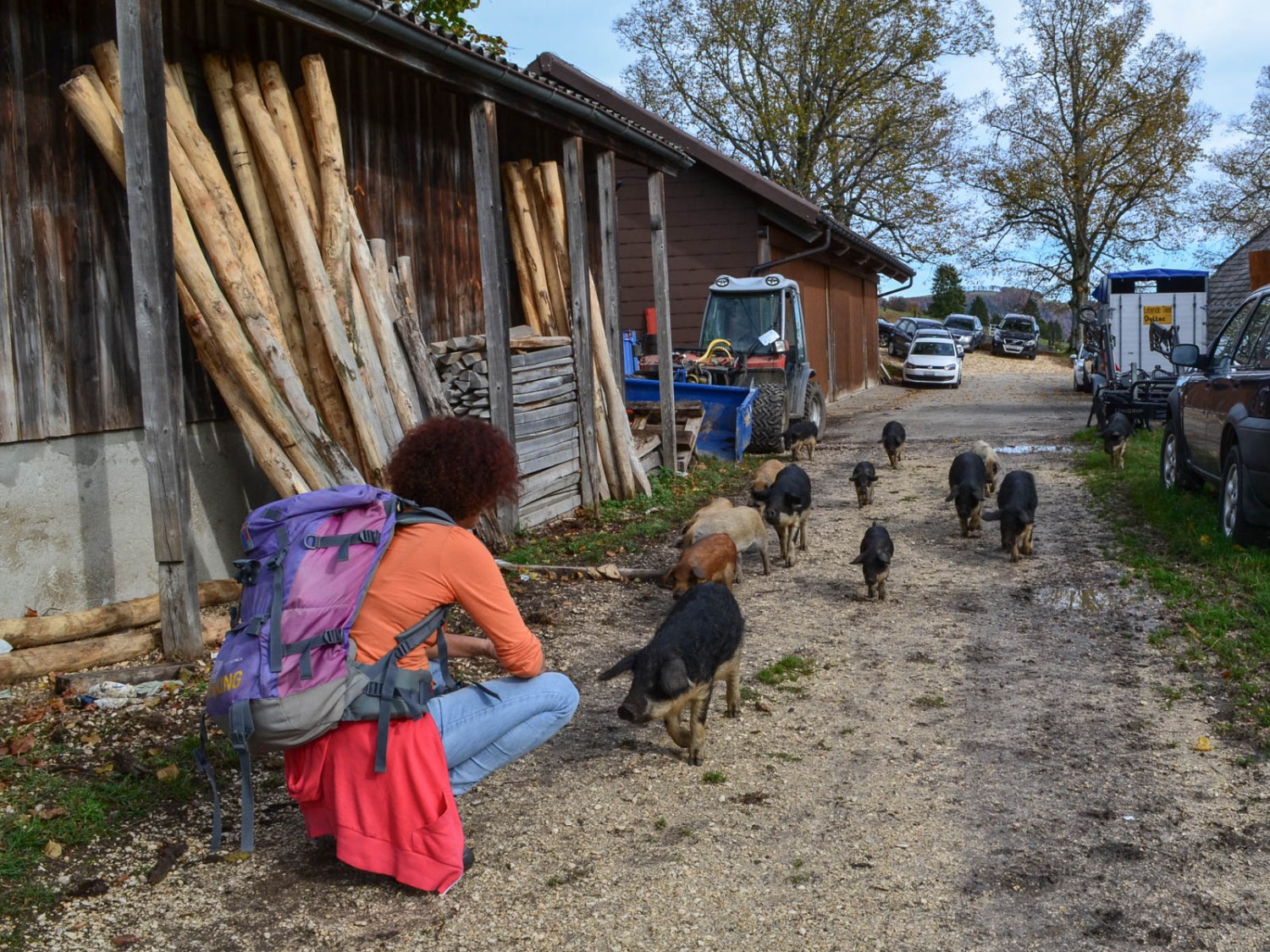 Freundliche Begrüssung durch Wollschweine beim Gasthaus Vorder Brandberg. Bild: Sabine Joss