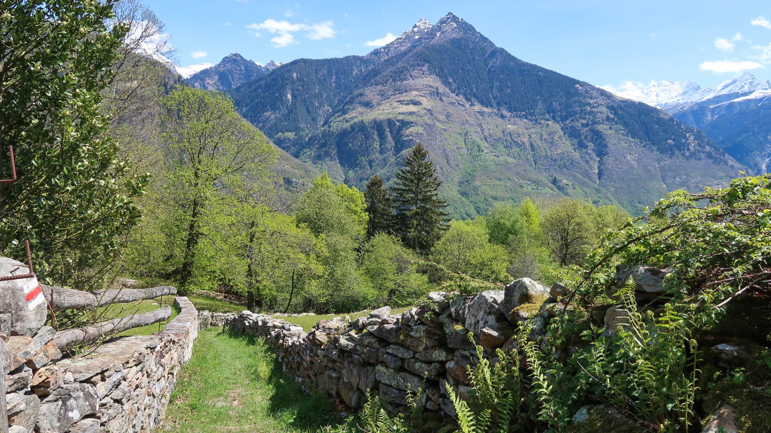 Poco dopo Navone lungo il sentiero verso Semione. Foto: Loïc von Matt