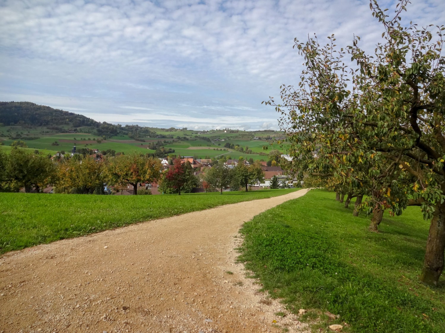 Felder, Wälder, Hügel und Obstbäume prägen diese Wanderung. Bild: Miroslaw Halaba