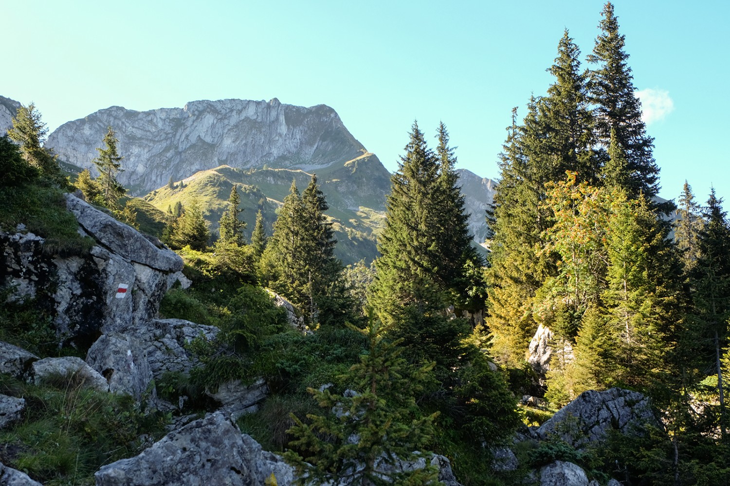 Dank eines Bergsturzes eine reichen und vielfältige Natur. Im Hintergrund die Combiflue.