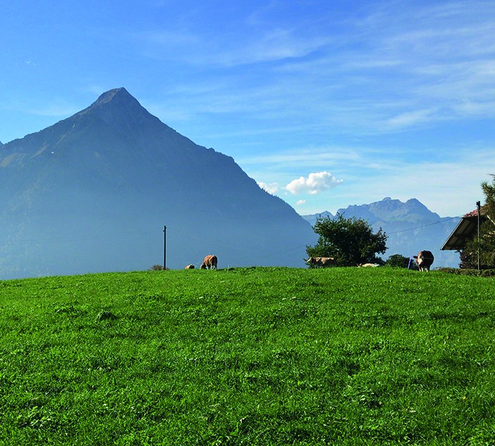 Mächtig trohnt der Niesen über dem Thunersee. 
Bilder: Werner Forrer