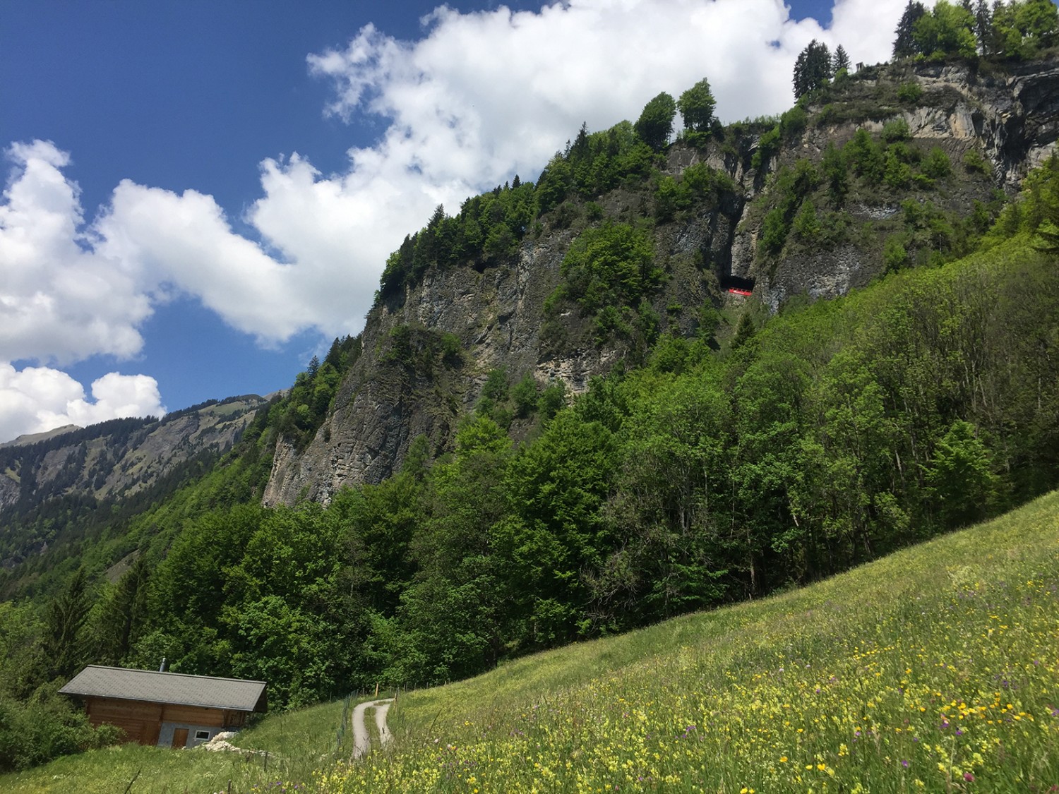 Oben im Fels taucht die Bahn plötzlich in einem Felsloch auf.