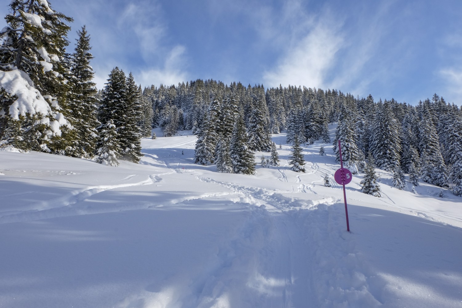 Un enneigement récent et une belle trace permettent de profiter à fond de la randonnée en raquettes. Photo: Elsbeth Flüeler