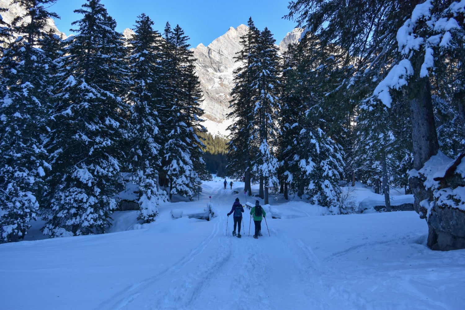 Die Wanderung wird auch von der Sicht auf das Diableretsmassiv begleitet. Bild: Nathalie Stöckli