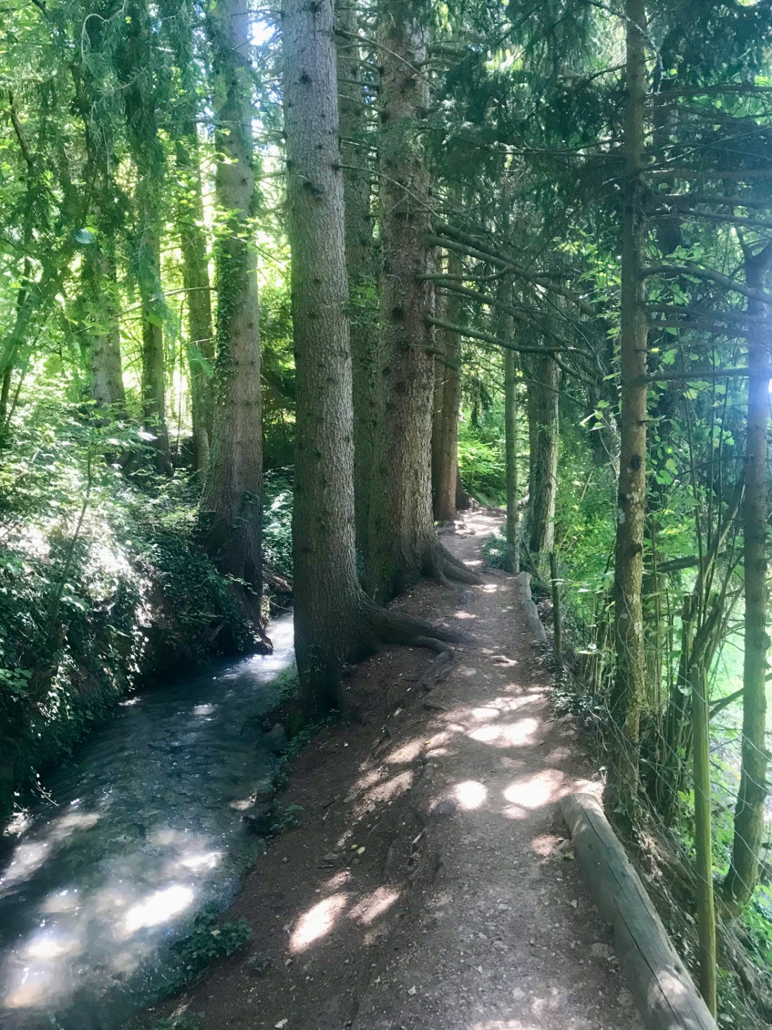 Die Route führt fast immer dem Wasserlauf der Suone entlang.