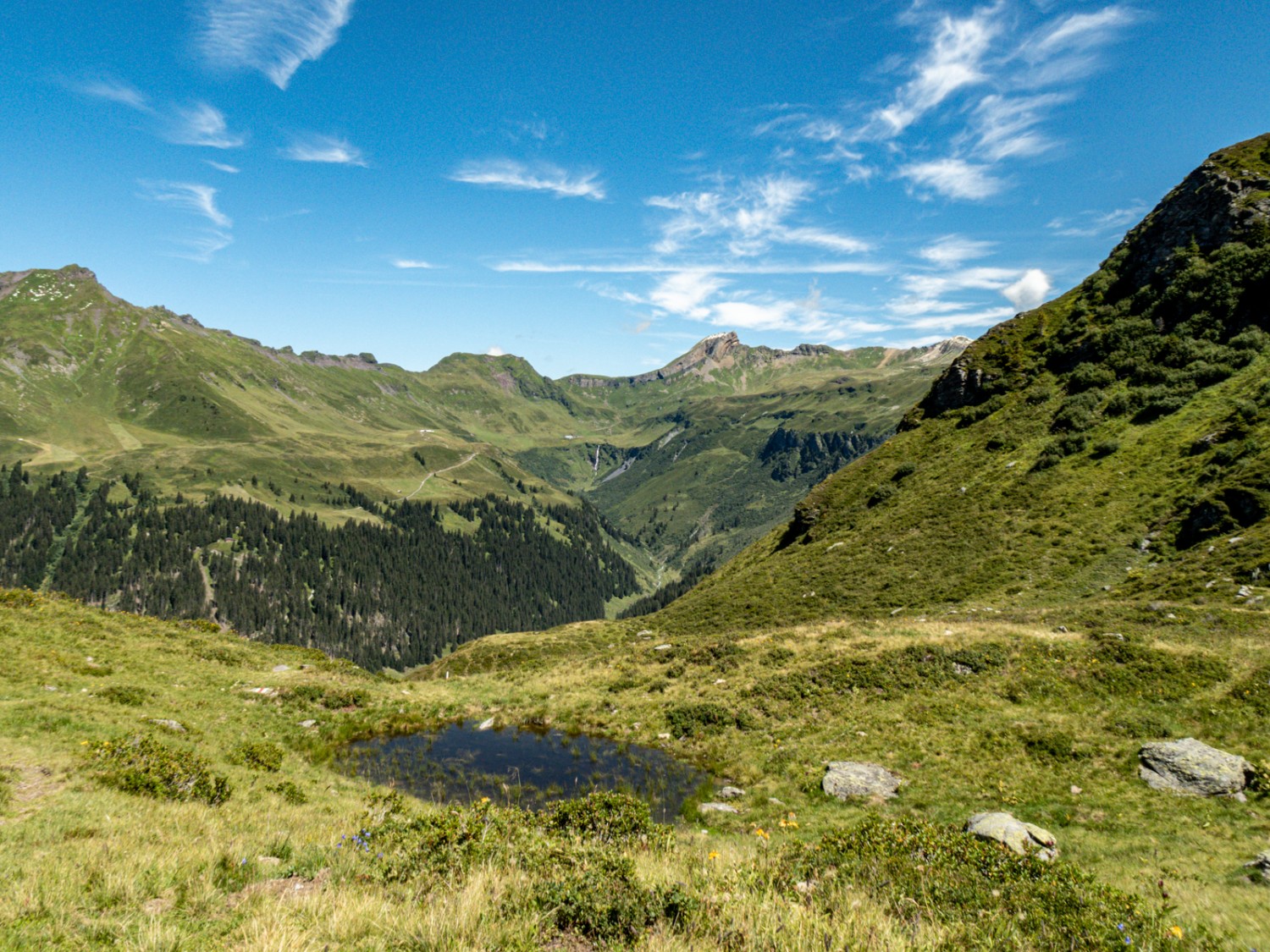 Blick vom Heueggli ins Mülibachtal. Bild: Vera In-Albon